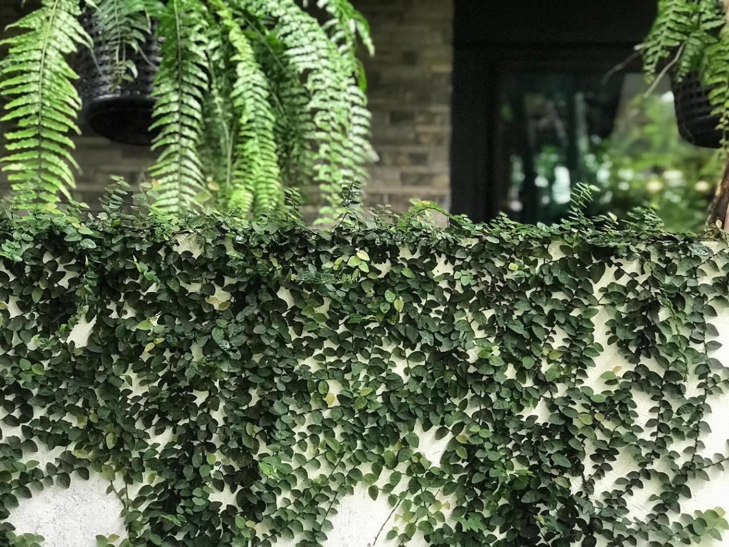 At Leaf Villa Чиангмай Екстериор снимка